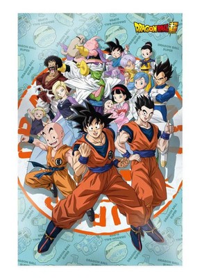 Dragon Ball Super Universe Survival 3D Poster 38x48 cm - SD Toys