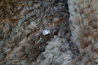 Bild 8 von 12