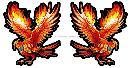 x2 Phoenix Bird Flames Fire Car Truck Window Bumper Laptop Sticker Decals 4" - 第 1/1 張圖片