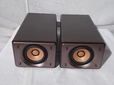 VICTOR JVC SP-EXS55 Full Range Speaker System Wood Cone NEW JAPAN warm sound
