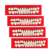 Acrylic Resin Fake Teeth Set 112 Pieces Replacement Denture Halloween DIY