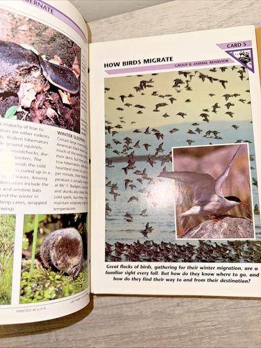 Wildlife Fact File - Picture 14 of 16