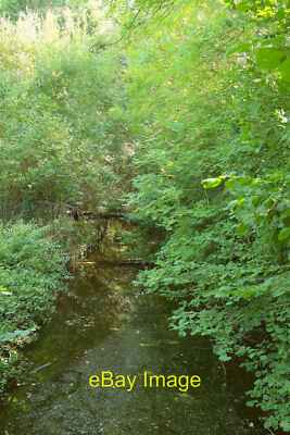 Photo 6x4 Mill leat, Totnes Looking townwards - and mill-wards - from the c2017