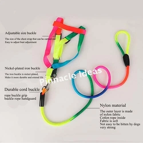 Nylon Puppy Training Lead Leash Recall Rope Obedience Long Slip Walk Adjustable