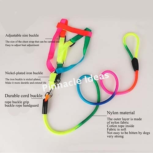 Nylon Puppy Training Lead Leash Recall Rope Obedience Long Slip Walk Adjustable - Picture 4 of 10