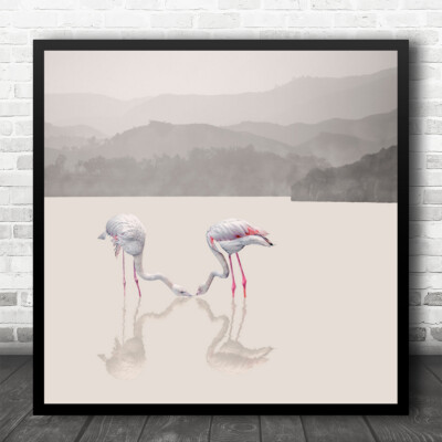 Flamingo Flamingos Farbauswahl Farben See Wasser Quadrat Kunstdruck
