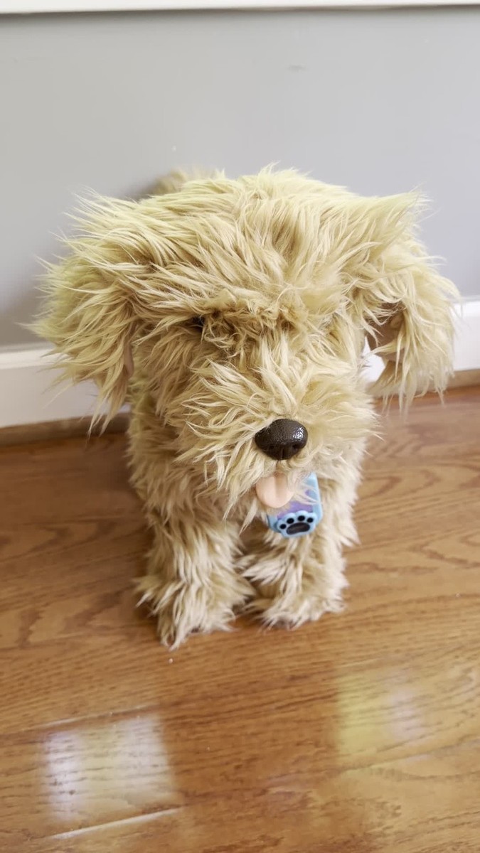SkyRocket Moji the Lovable Labradoodle *Dog and Collar Only* WORKS