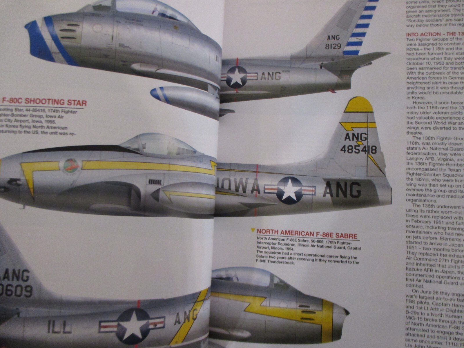 Air National Guard Jet Fighters - more than 150 color profiles