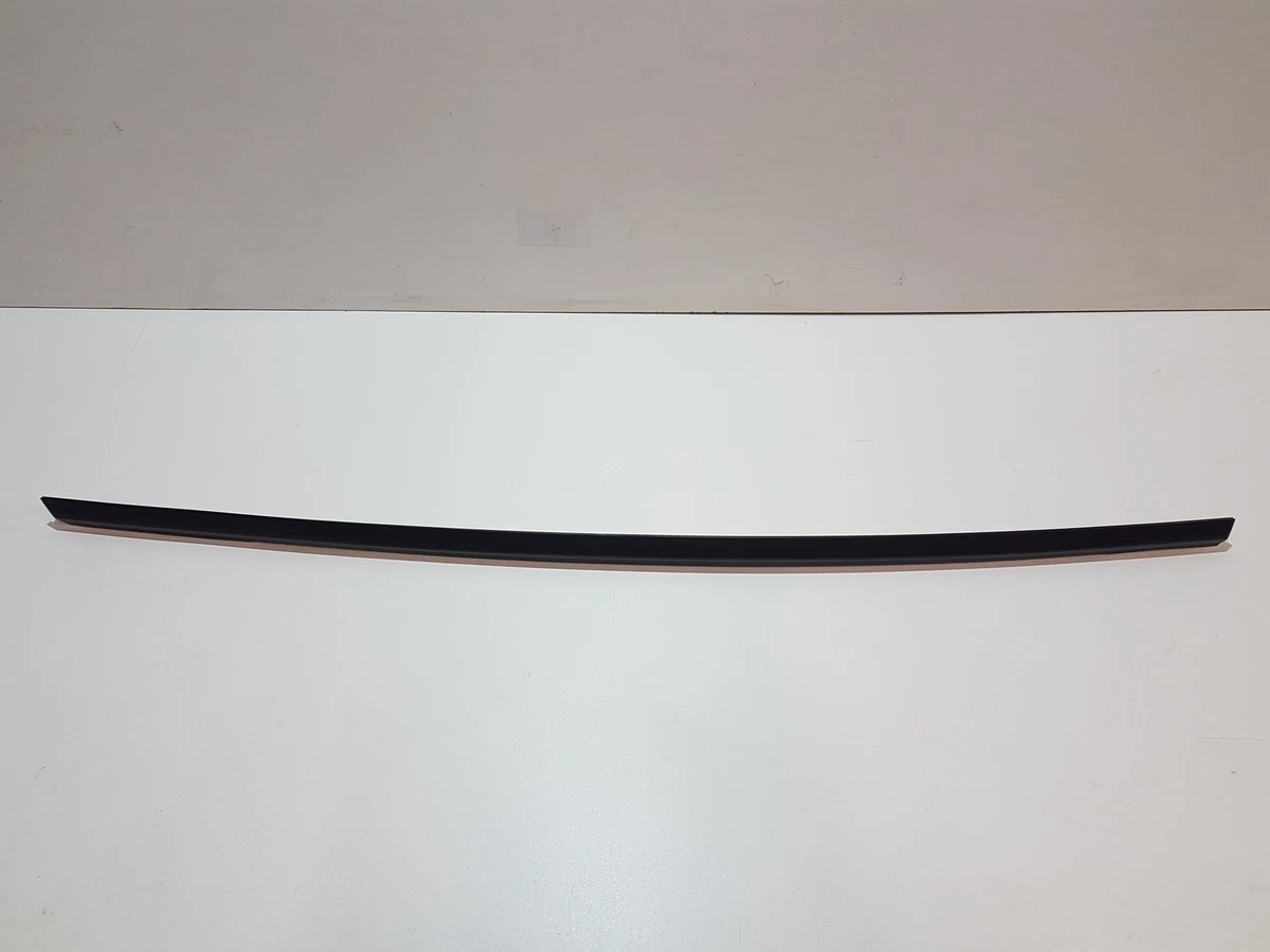 Abdichtschiene Tür hinten links Dichtung Mercedes W246 W242  