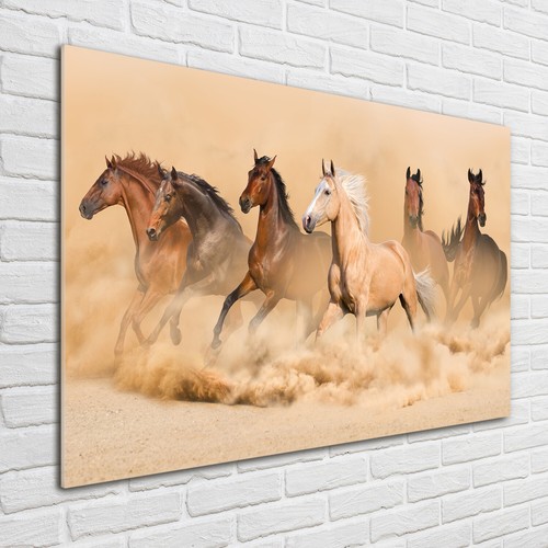 Tulup Tableau Sur Verre Trempé Image 100x50 - Cheval Arabe Blanc
