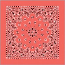 Carolina Creative BANDANA PAISLEY HONEYSUCKLE