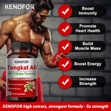 Tribulus Terrestris - Natural Energy Workout Support - Dietary Supplement