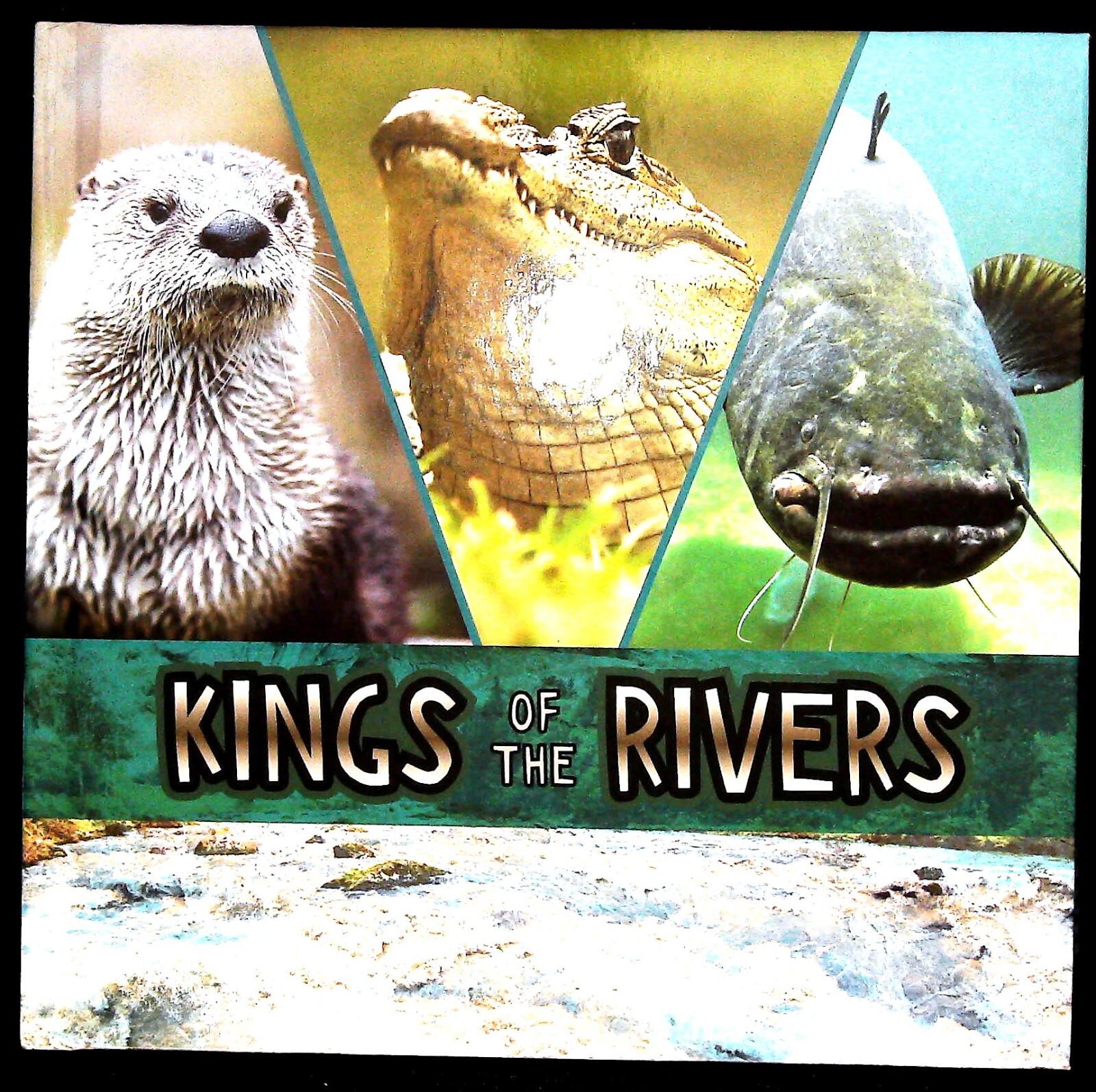 Rivers Children's Book Learning Facts Education - New Kings of the Rivers