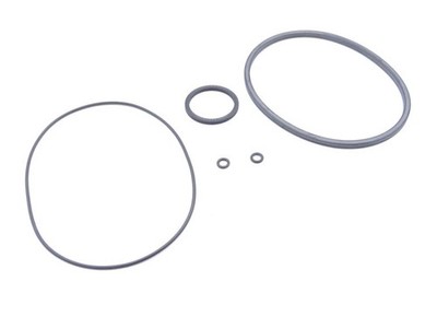 SCHUNK DSA PZN+125 SPARE PARTS KIT