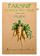 Organic PARSNIP 🌱 TENDER AND TRUE ❁ 100 Seeds HEIRLOOM 🌱 Non GMO
