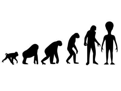 SHARK - TENDA DA DOCCIA COMPLETA DI GANCI IN VINILE LINEA "TUCANO - Foto 11