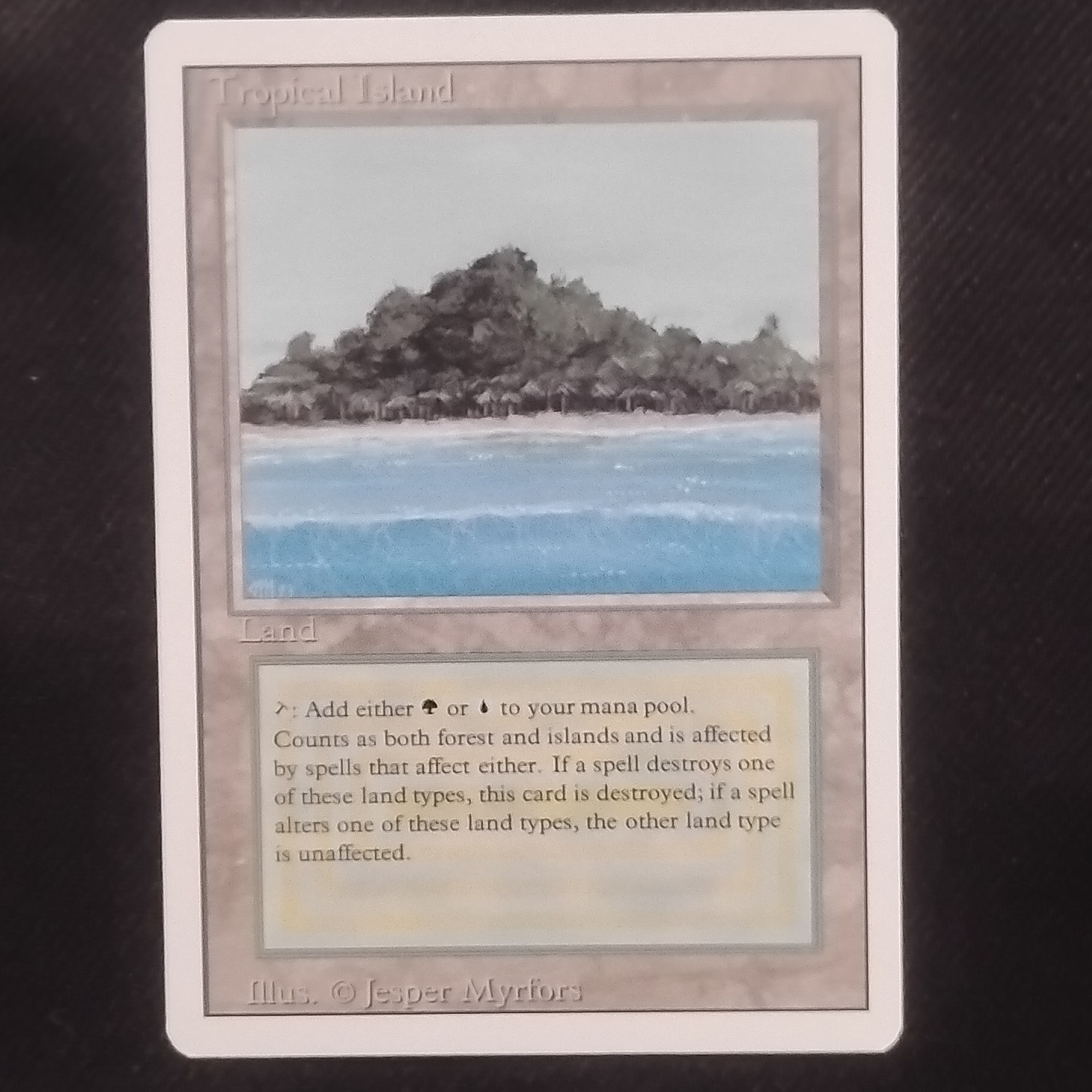 Magic: The Gathering Tropical Island Land Revised Edition Rare English
