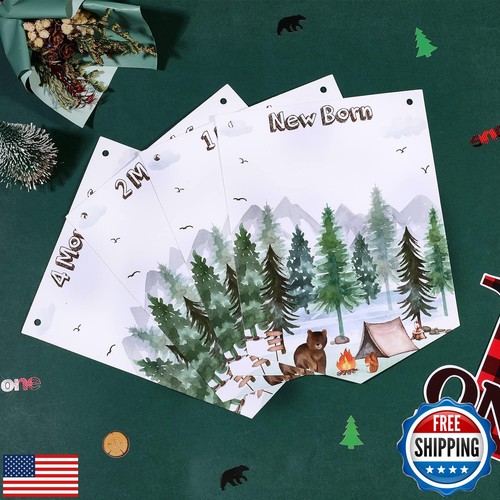 One Happy Camper Photo Banner for Boys Girls 1st Forest Safari Camping Theme - Picture 3 of 5