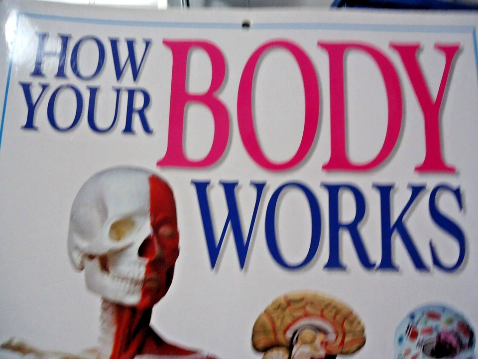 1997 How Your Body Works 16" X 24" made in Italy, HC educational Big board book - Image 4 of 4