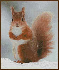 Brown Squirrel Counted Cross Stitch CHART No.17-106