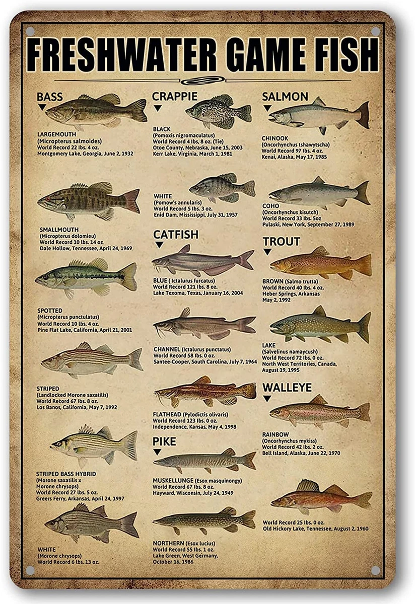 Freshwater Game Fish Species
