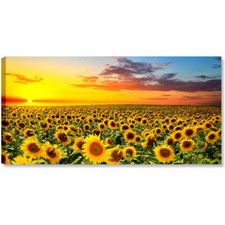 Campo di Girasoli 90x45 Quadro Fiori Gialli Rustici Stampa Tela Cucina Soggiorno