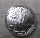 2009 1  1oz American Silver Eagle Coin W/ CAPSULE ONLY