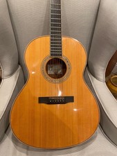 L’arrivée L-05 Guitar Left Handed!