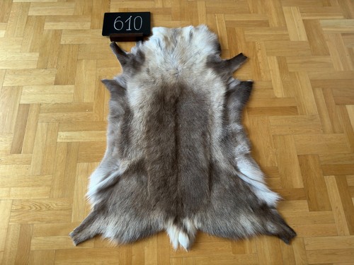 Exclusive Reindeer Hide Skin 134x111 cm Scandinavian Rug Prime Quality Real #610 - 第 2/4 張圖片
