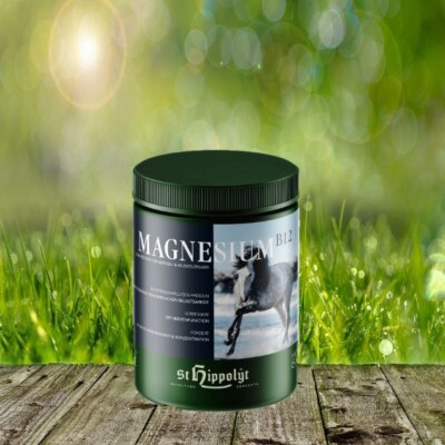 Magnesium B12 - St.Hipp. 1 kg - Nährstoffe für Nerven- und Muskelzellen