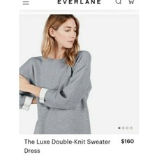 Everlane luxe double knit sweater dress