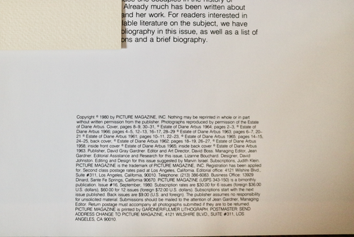 PICTURE magazine set of two Issue 16 14 1980  Diane Arbus - Foto 4 di 5