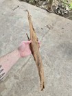  Lightning Struck Tree Bark  — photo 2