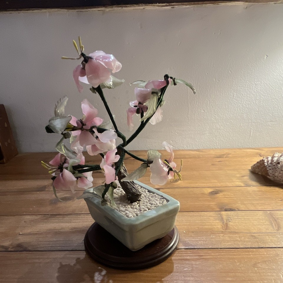 Sakura Tree Making Chinese Cherry Blossom Bonsai Tree Celadon Pot on Wooden Base VGC | eBay UK