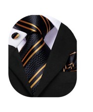 Mens Paisely Floral Silk Tie for Men Striped Necktie and Pocket Square Set We...