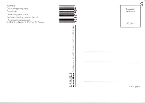 Postal continental de cultivo de caña de azúcar joven de Australia - Imagen 2 de 2