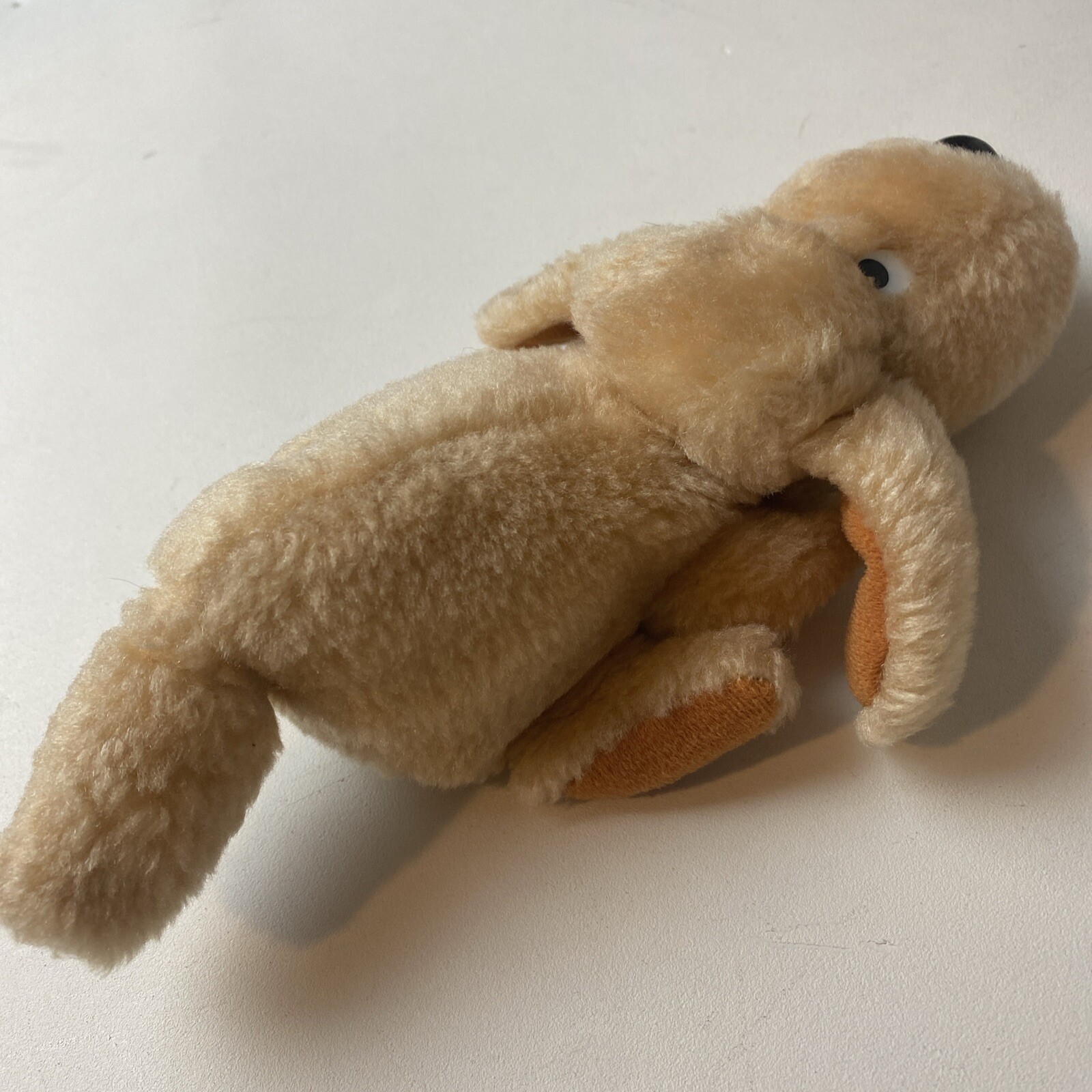 Picture 5 of 8