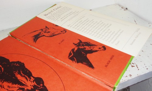 The Black Stallion Returns 1945 HC Book w DJ by Walter Farley Random House F-2 - Picture 4 of 6