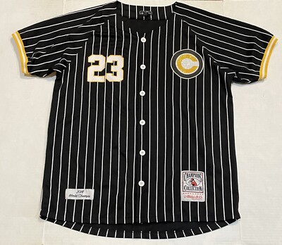 Bare Fox Queen Black Striped Chicago Cubs Jersey Legendary No 23 Women s 3 Curvy