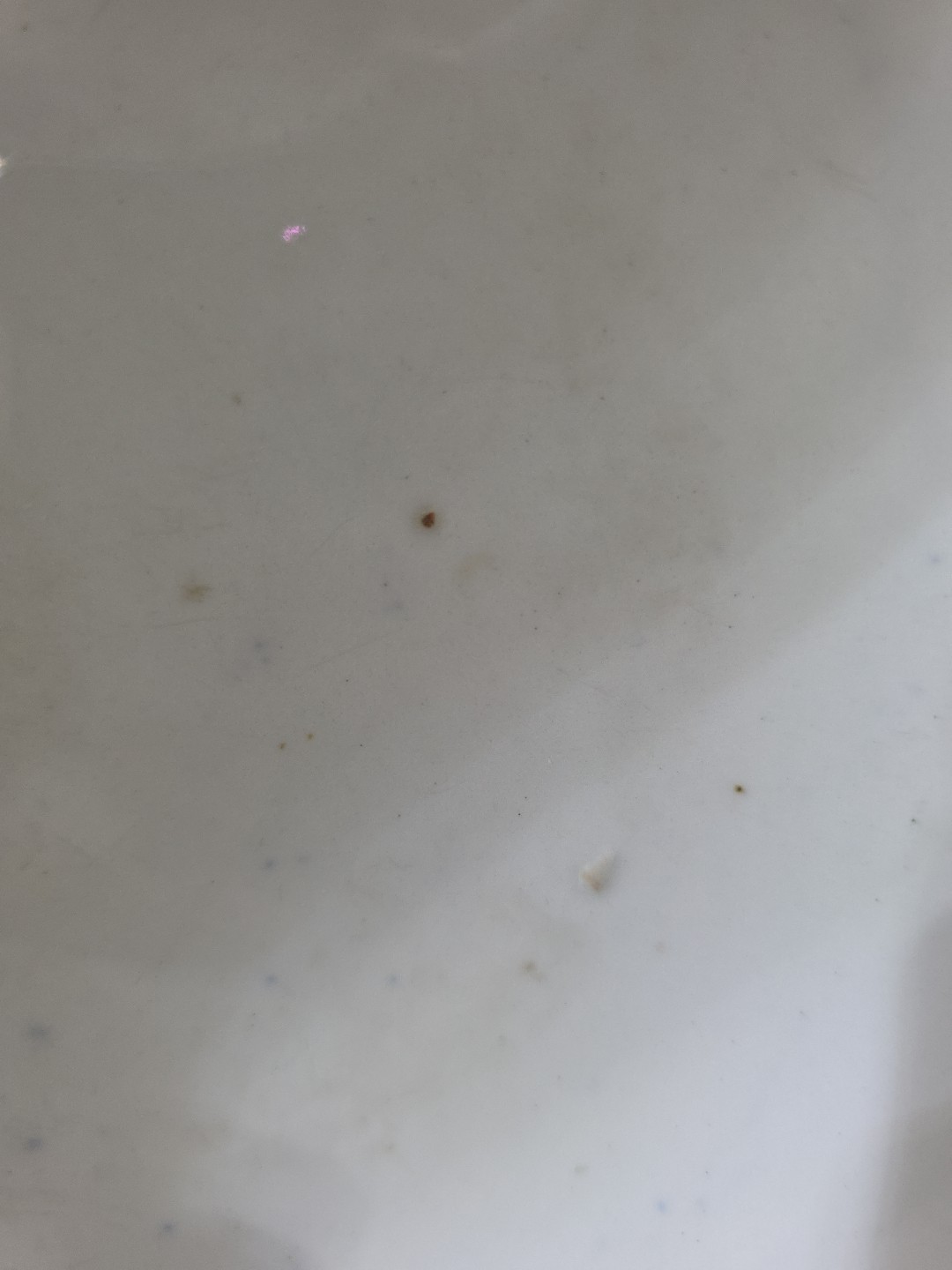 Picture 8 of 10