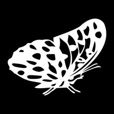 Butterfly Butterflies Decal Sticker White Die Cut Vinyl