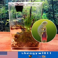Large Acrylic Reptile Terrarium Gecko Lizard Spider Vivarium Enclosure Tank