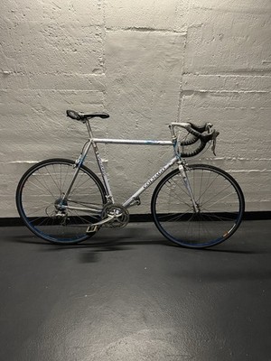 Colnago Master Extra Light Art Decor Rennrad 58cm c-t
