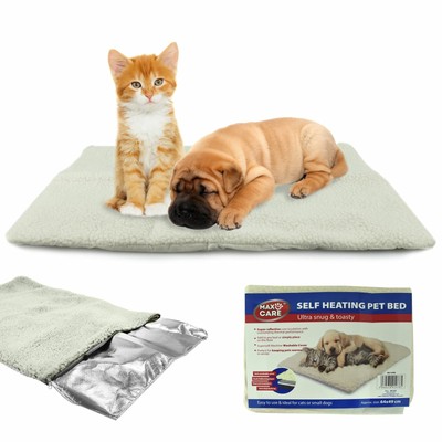 self heating dog beds