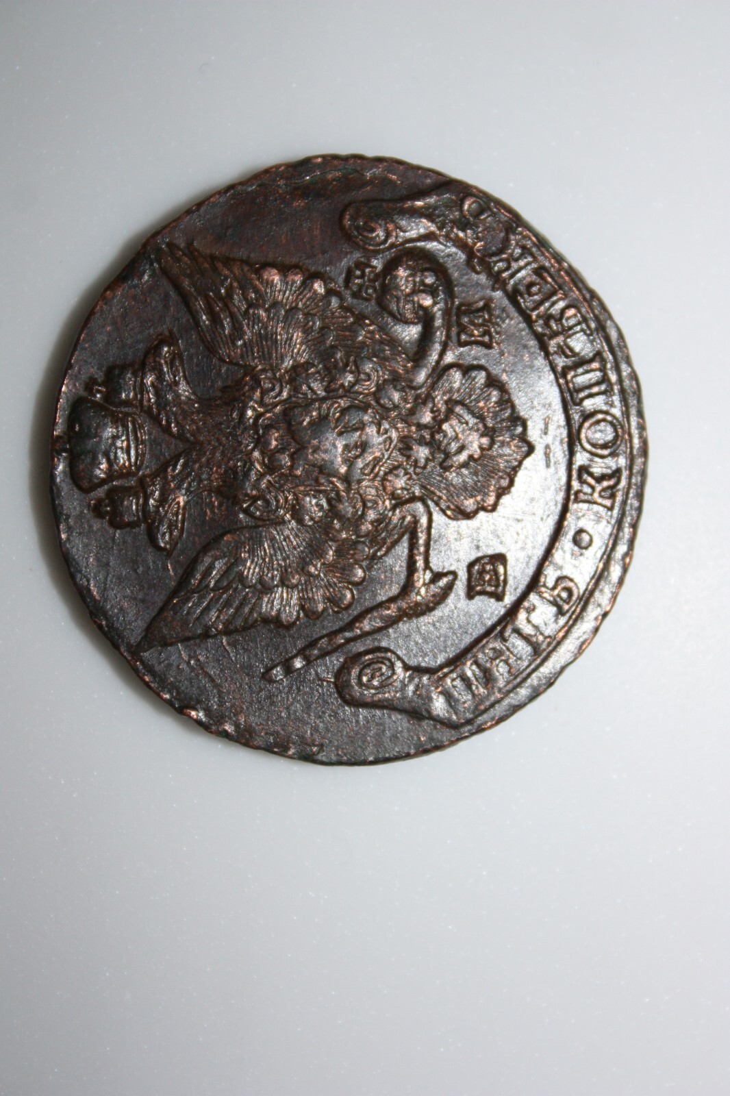 Foto 11 di 13