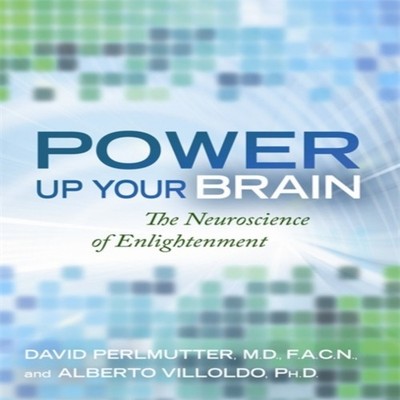 Power Up Your Brain The Neuroscience of Enlightenment David Perlm
