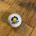 Jamaica Logo Golf Balls Novelty Collectors Display “Smile,Mon!” & “No Problem” — photo 5