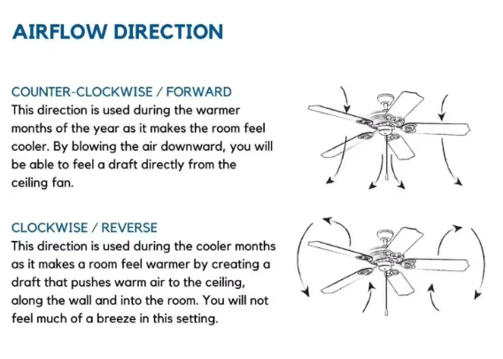 Progress Lighting Briarwood 14 Briarwood 14" 3 Blade Indoor - Bronze - Image 4 of 4