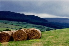 Photo 6x4 East Baldwin - Bales of hay in a field along B36  c2003