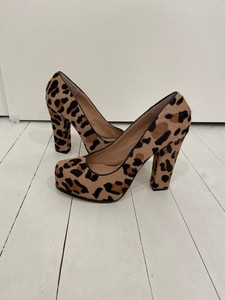 steve madden jerry l leopard